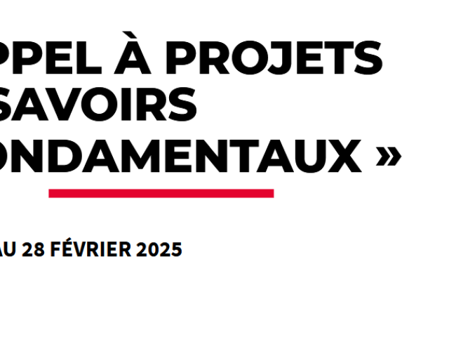 Visuel AAP savoirs fondamentaux
