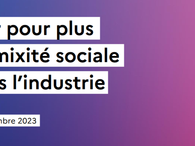 Visuel plan mixité sociale industrie