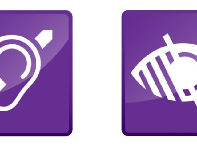 Pictogrammes handicaps auditif et visuel