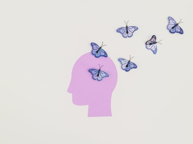 Collage papier, tête et papillons