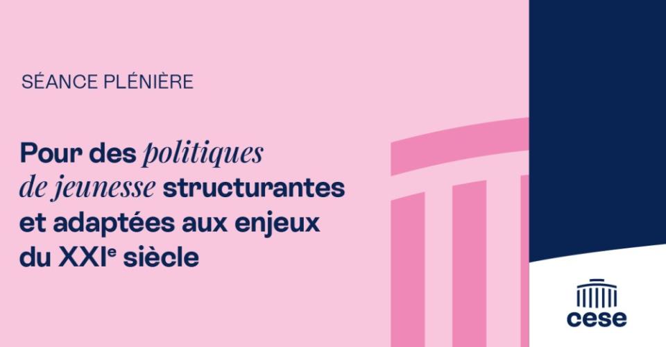 Visuel résolution CESE