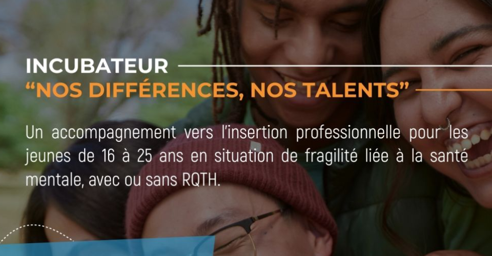 Visuel incubateur Mission Locale Val d'Oise Est