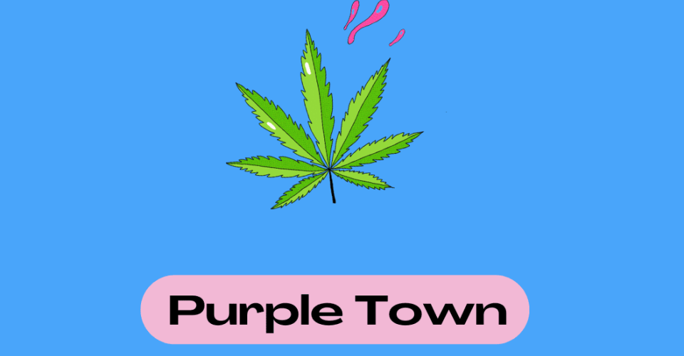 Visuel Purple Town